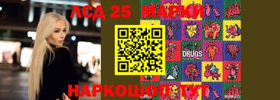 mdpv Ярославль