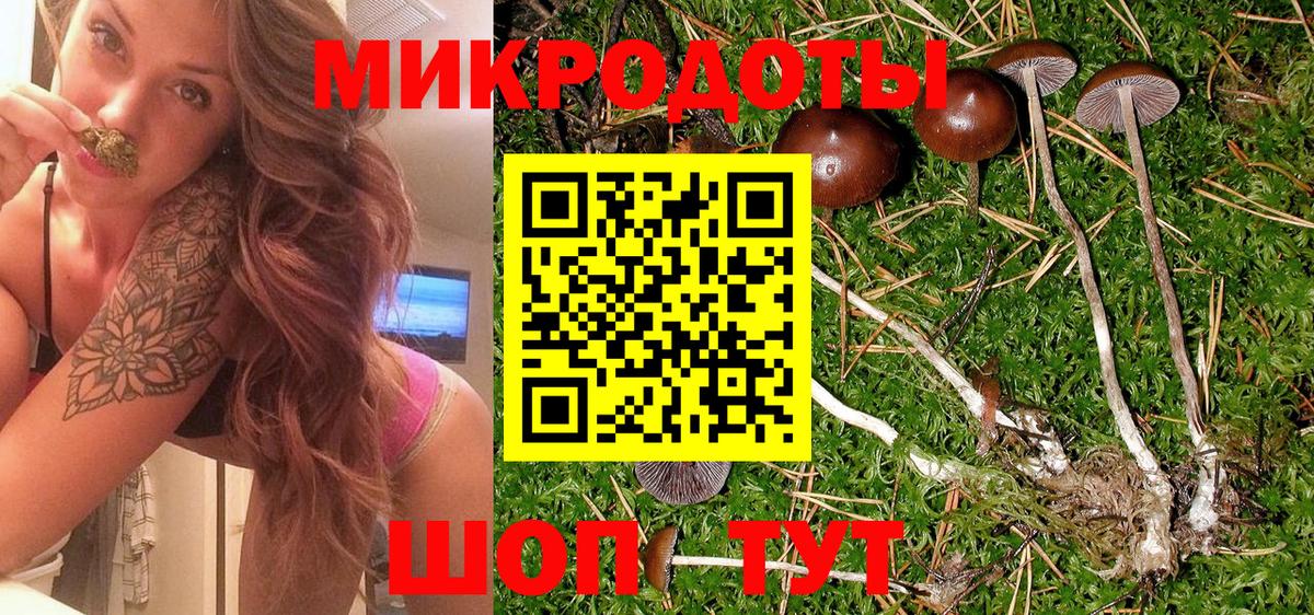 Псилоцибиновые грибы мицелий Гуково