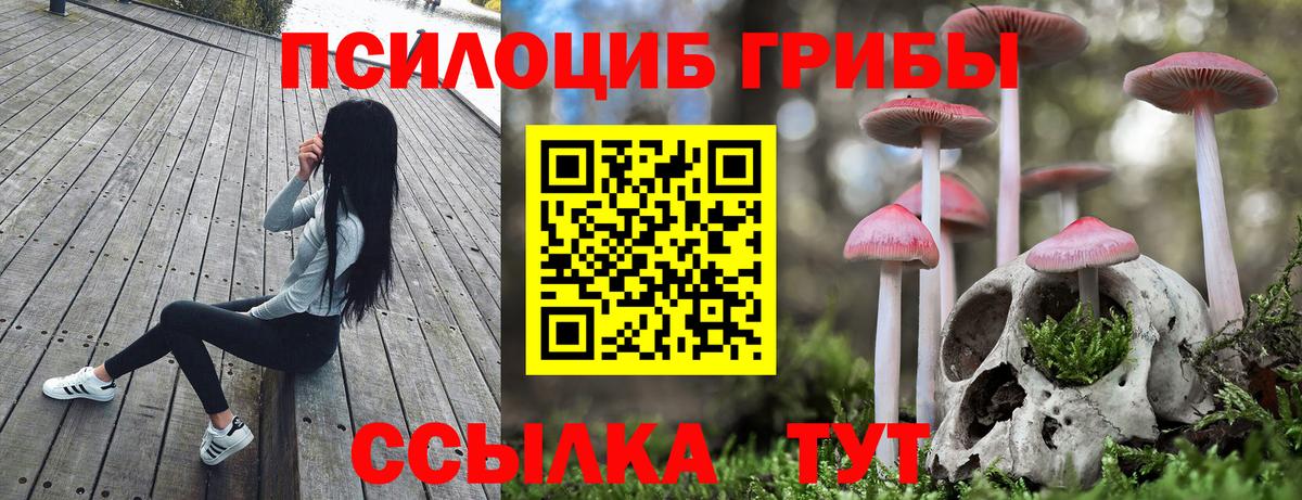 Псилоцибиновые грибы мухоморы  Вход с VPN  Гуково 